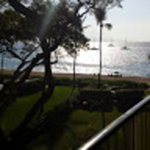 Meet your Posher, Shaun